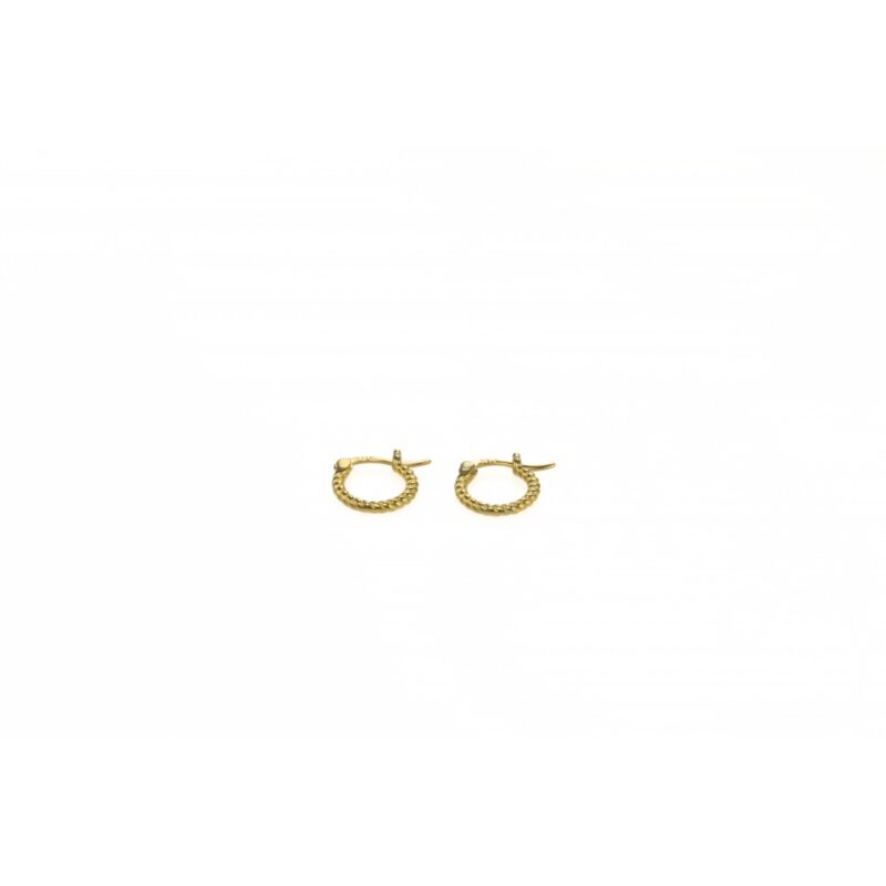 Επίχρυσα σκουλαρίκια 925