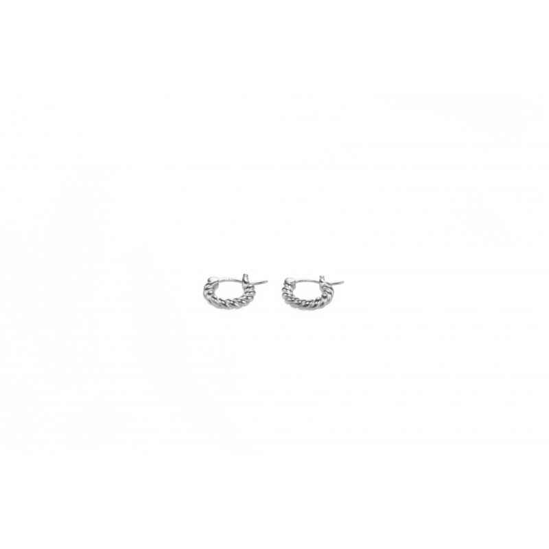 Ασημένια σκουλαρίκια 925
