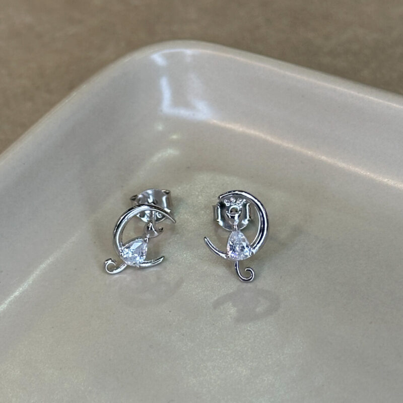 Ασημένια σκουλαρίκια 925