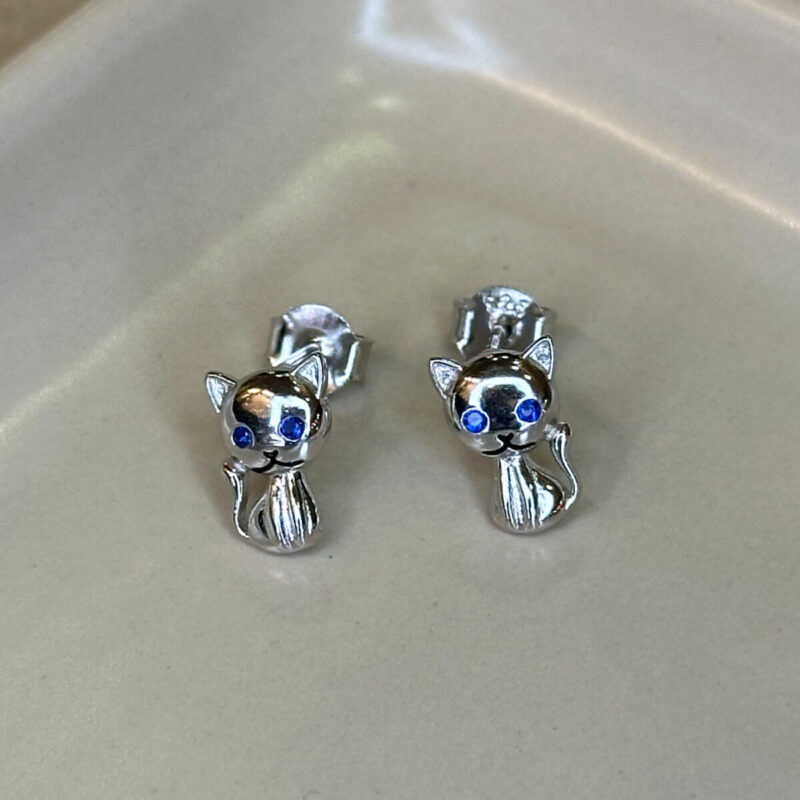 Ασημένια σκουλαρίκια 925