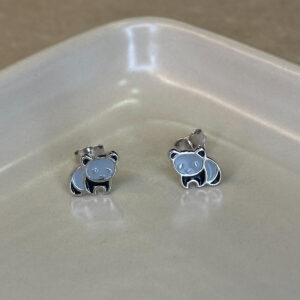 Ασημένια σκουλαρίκια 925